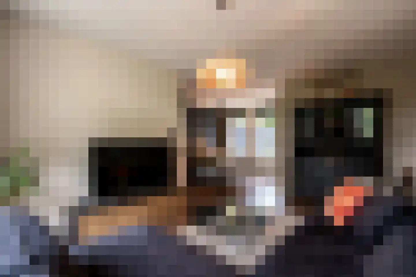 Vang 7 Schaijk thumbnail 8