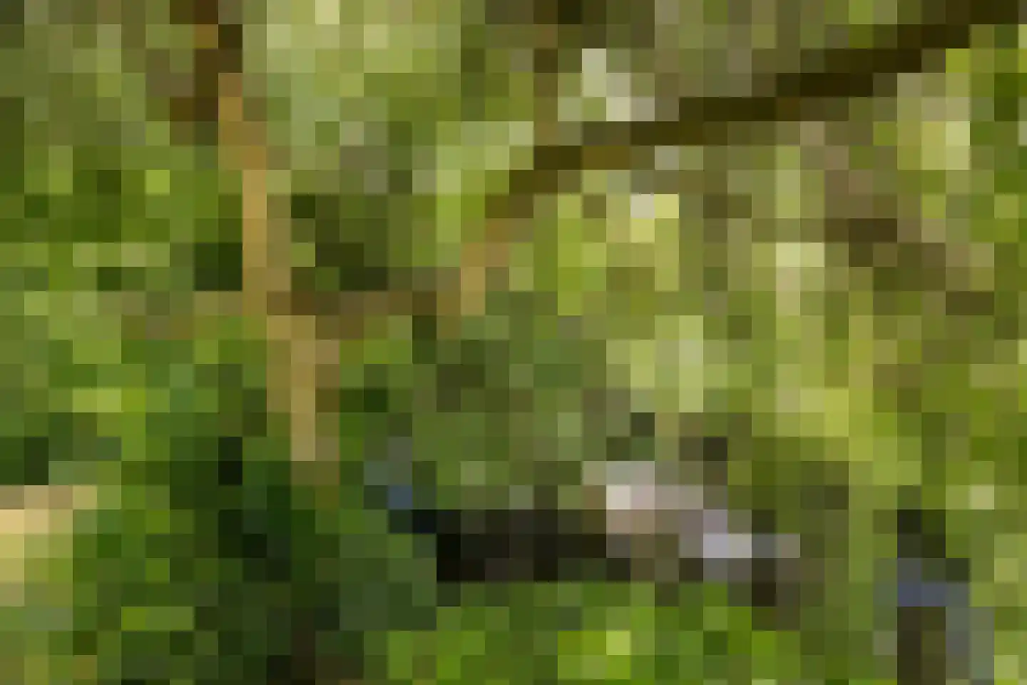 Vangershof 24 Hoogkarspel thumbnail 38