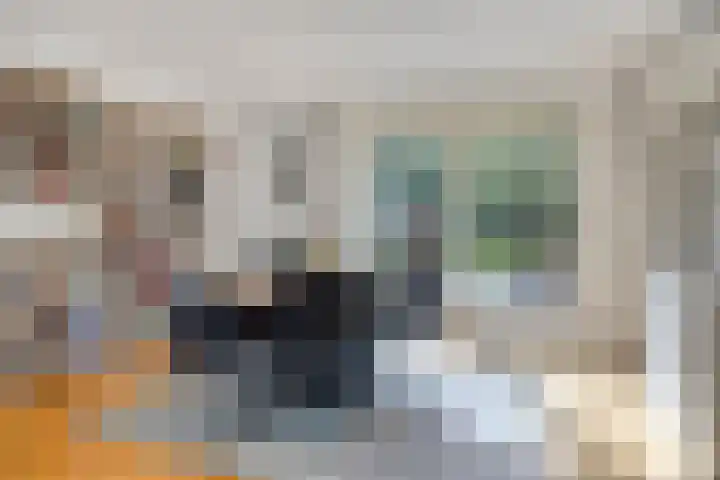 Vanghout 21 Smilde thumbnail 11