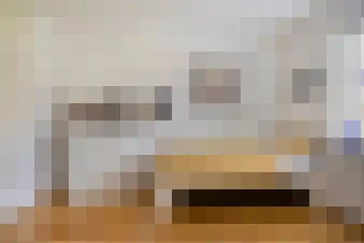 Vanghout 21 Smilde thumbnail 15