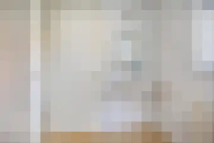Vanghout 21 Smilde thumbnail 17