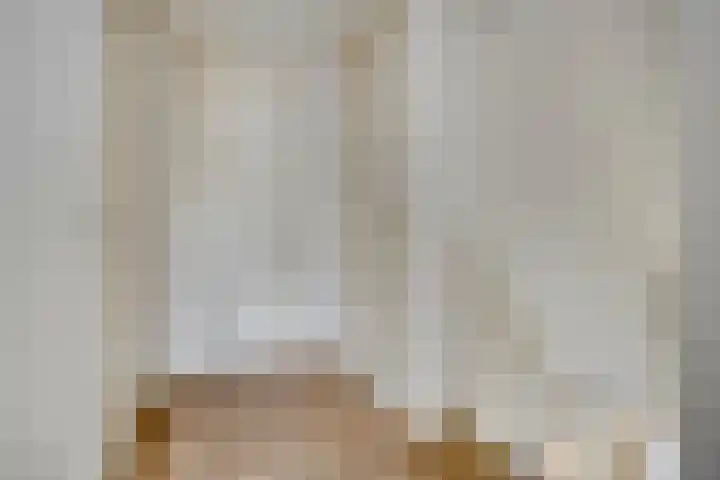 Vanghout 21 Smilde thumbnail 19