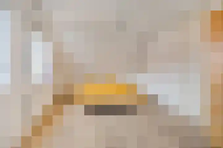 Vanghout 21 Smilde thumbnail 23