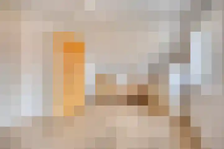 Vanghout 21 Smilde thumbnail 24