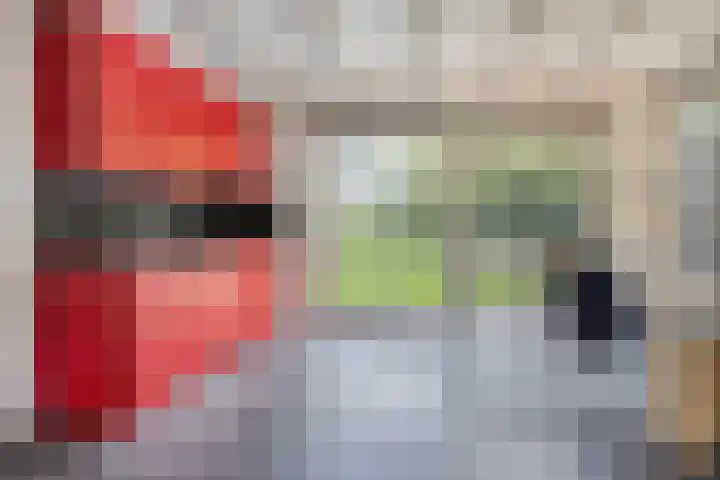 Vanghout 21 Smilde thumbnail 28