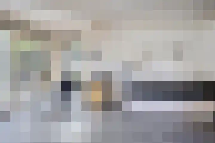 Vanghout 21 Smilde thumbnail 30