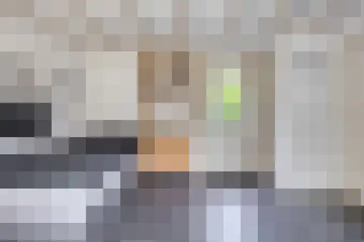 Vanghout 21 Smilde thumbnail 31