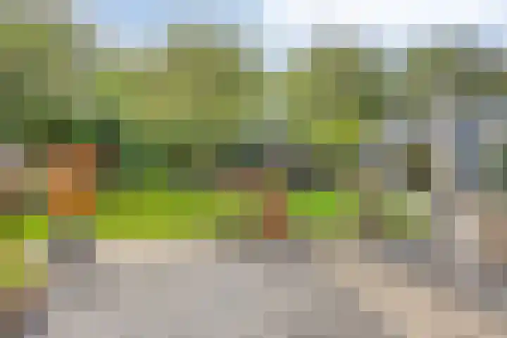 Vanghout 21 Smilde thumbnail 37