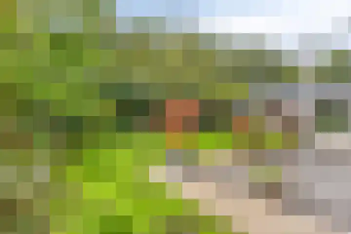 Vanghout 21 Smilde thumbnail 38