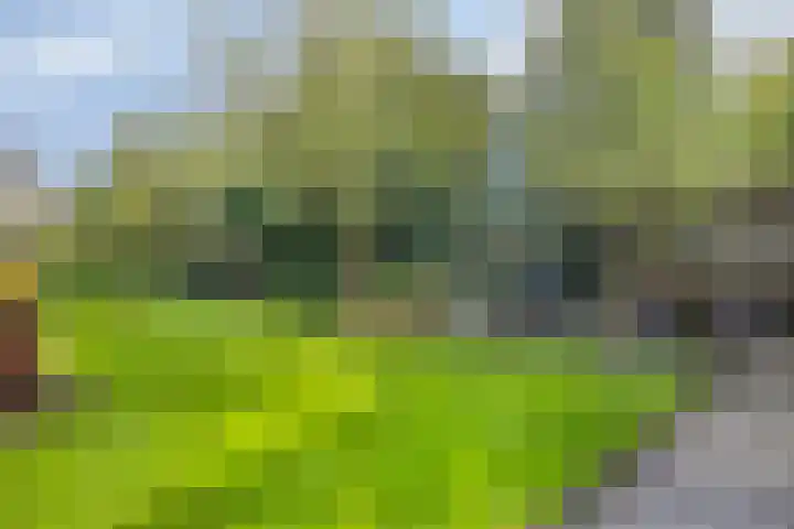 Vanghout 21 Smilde thumbnail 41
