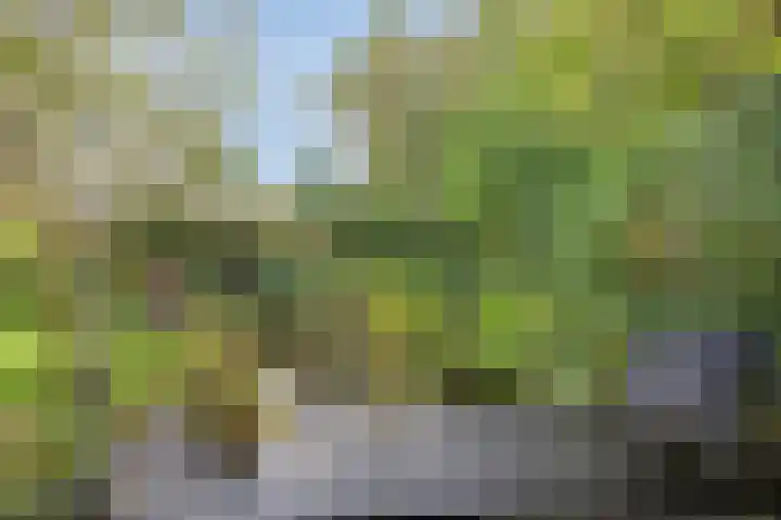 Vanghout 21 Smilde thumbnail 43