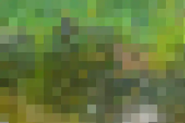 Vanghout 21 Smilde thumbnail 44