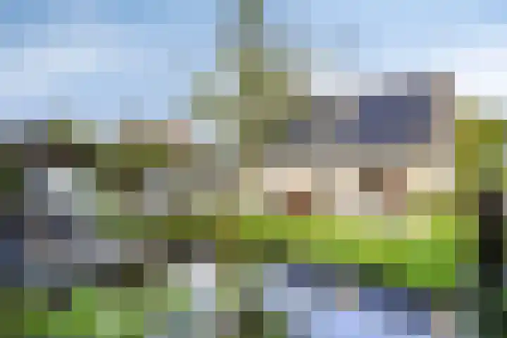 Vanghout 21 Smilde thumbnail 45