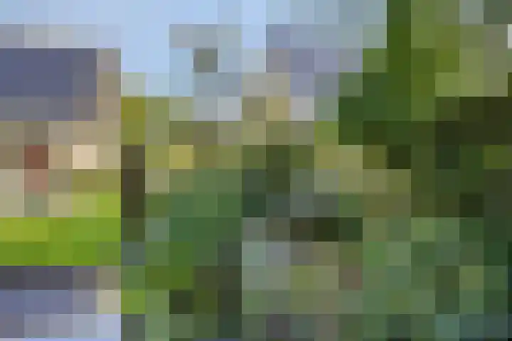 Vanghout 21 Smilde thumbnail 46