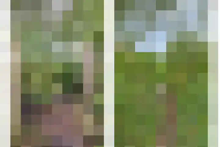 Vanghout 21 Smilde thumbnail 47