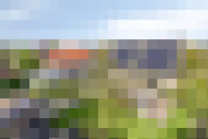 Vanghout 21 Smilde thumbnail 48