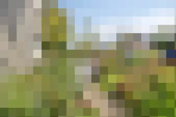 Vanghout 21 Smilde thumbnail 49