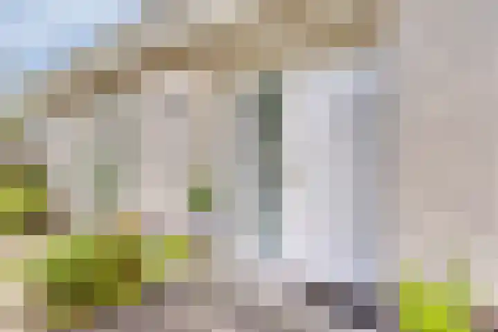 Vanghout 21 Smilde thumbnail 5