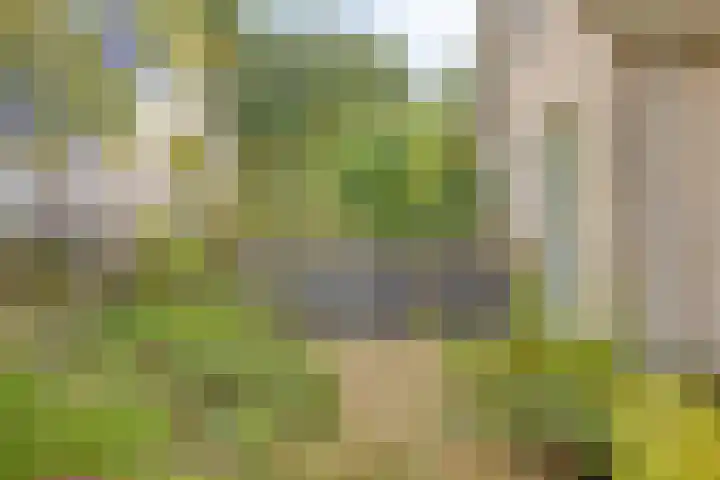 Vanghout 21 Smilde thumbnail 50