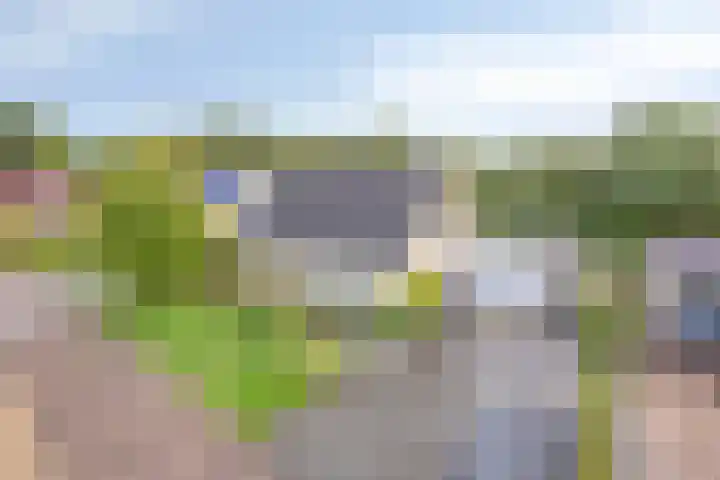Vanghout 21 Smilde thumbnail 51