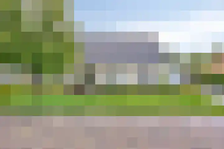 Vanghout 21 Smilde thumbnail 52