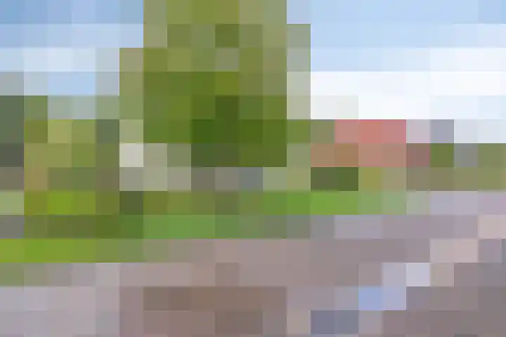 Vanghout 21 Smilde thumbnail 54