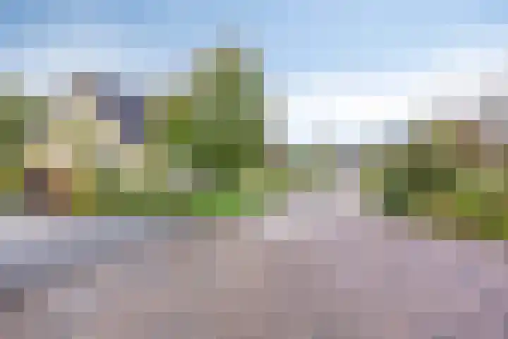 Vanghout 21 Smilde thumbnail 55