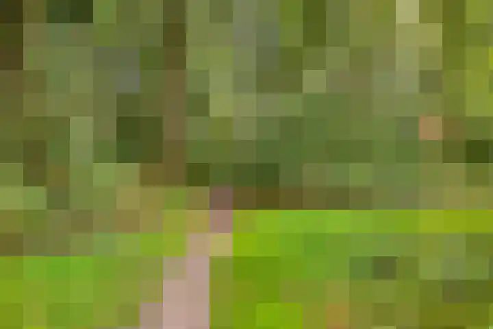 Vanghout 21 Smilde thumbnail 57