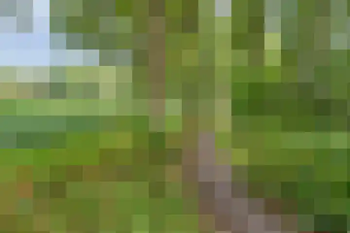 Vanghout 21 Smilde thumbnail 58