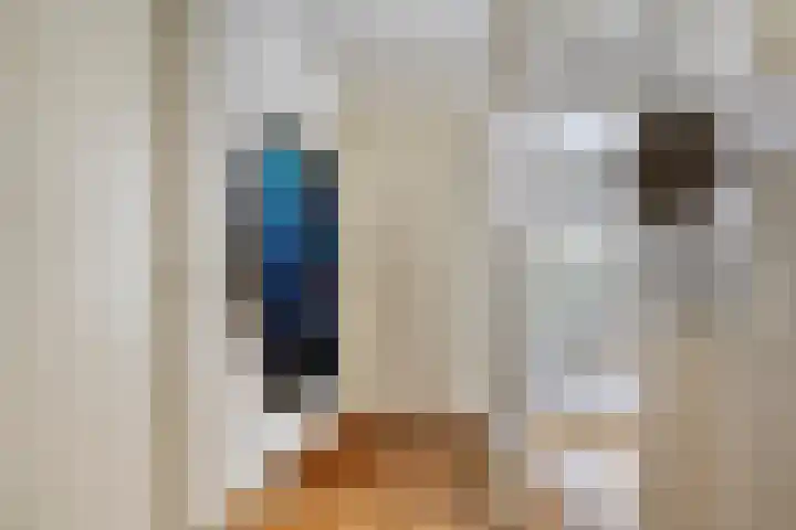 Vanghout 21 Smilde thumbnail 6
