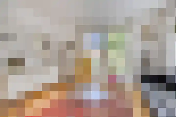 Vanghout 21 Smilde thumbnail 8