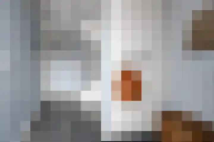 Vangstok 14 Sint Pancras thumbnail 10