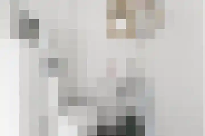 Vangstok 14 Sint Pancras thumbnail 12
