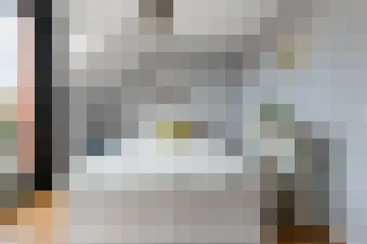 Vangstok 14 Sint Pancras thumbnail 13