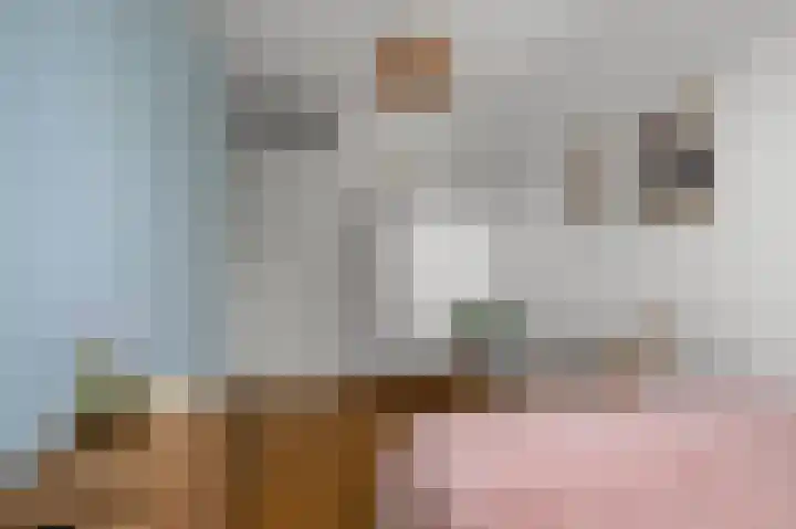 Vangstok 14 Sint Pancras thumbnail 18