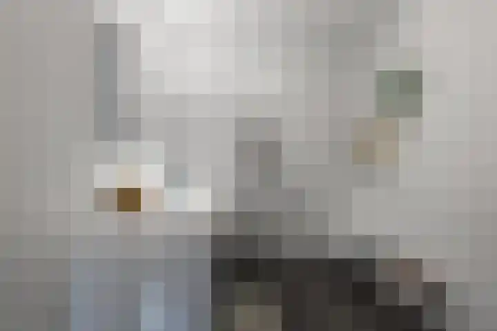 Vangstok 14 Sint Pancras thumbnail 20