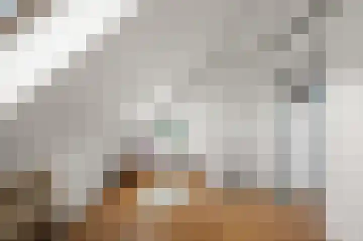 Vangstok 14 Sint Pancras thumbnail 24