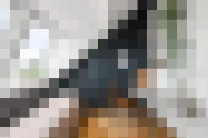 Vangstok 14 Sint Pancras thumbnail 26