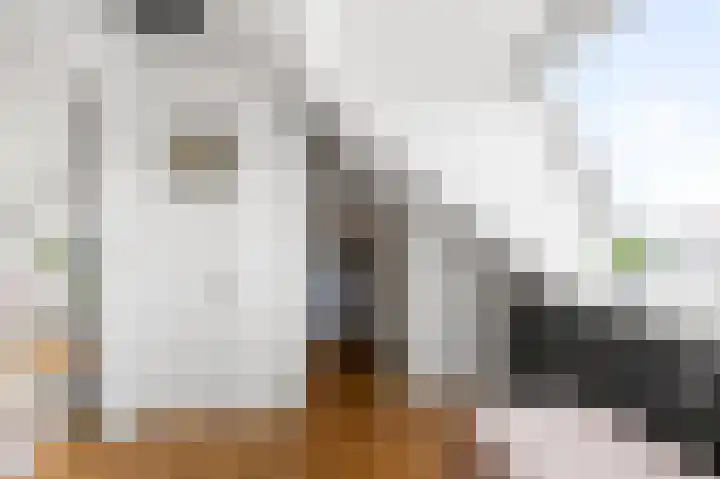Vangstok 14 Sint Pancras thumbnail 27