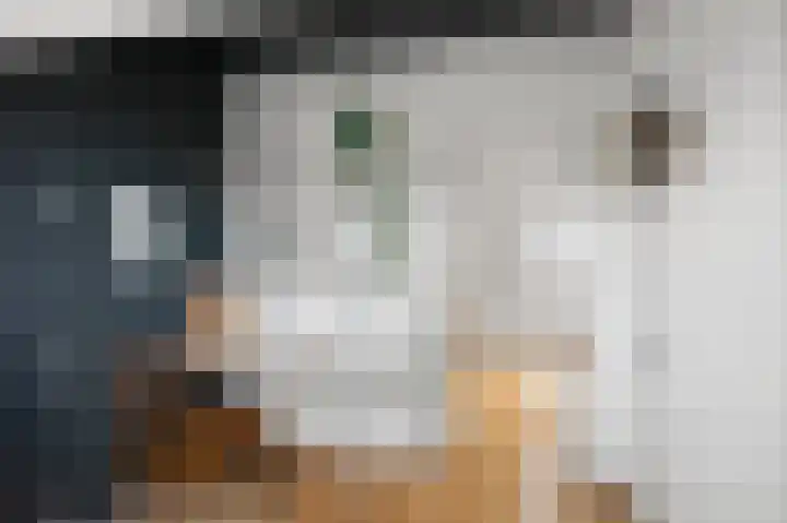 Vangstok 14 Sint Pancras thumbnail 28