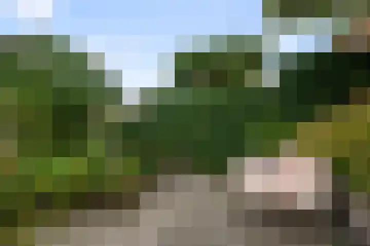 Vangstok 14 Sint Pancras thumbnail 32