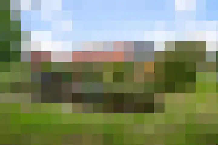 Vangstok 14 Sint Pancras thumbnail 33