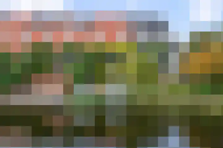 Vangstok 14 Sint Pancras thumbnail 34