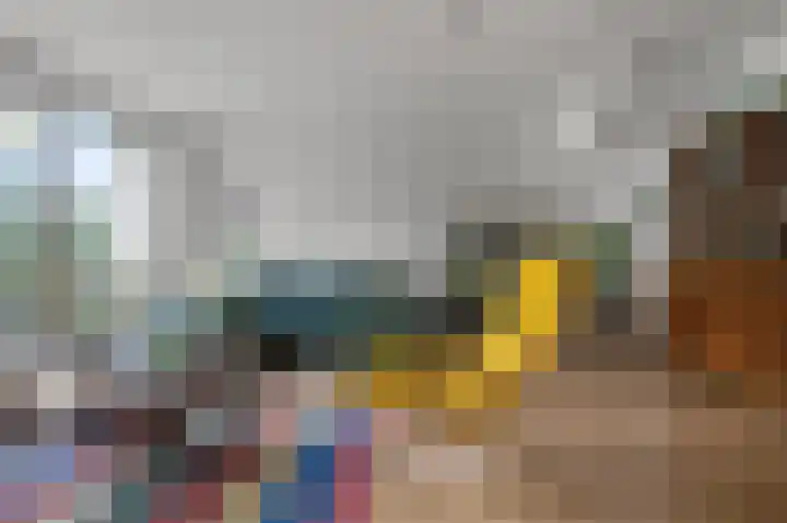 Vangstok 14 Sint Pancras thumbnail 4