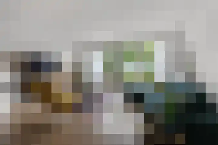 Vangstok 14 Sint Pancras thumbnail 5