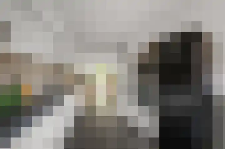 Vangstok 14 Sint Pancras thumbnail 7
