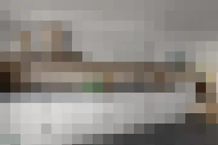 Vangstok 14 Sint Pancras thumbnail 8