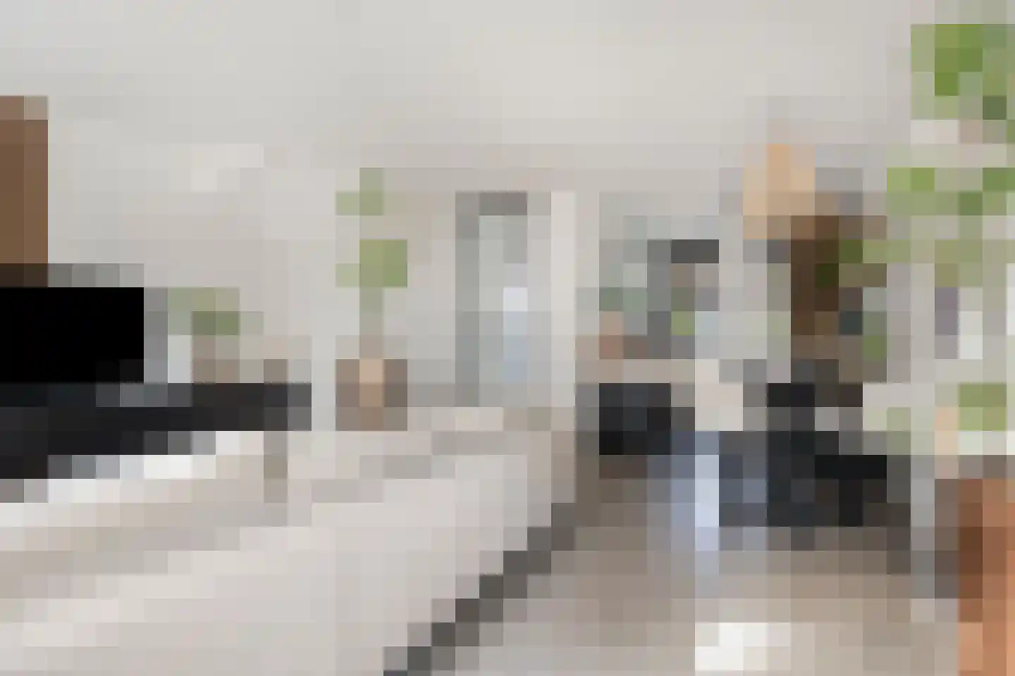 Vangstok 6 Sint Pancras thumbnail 11