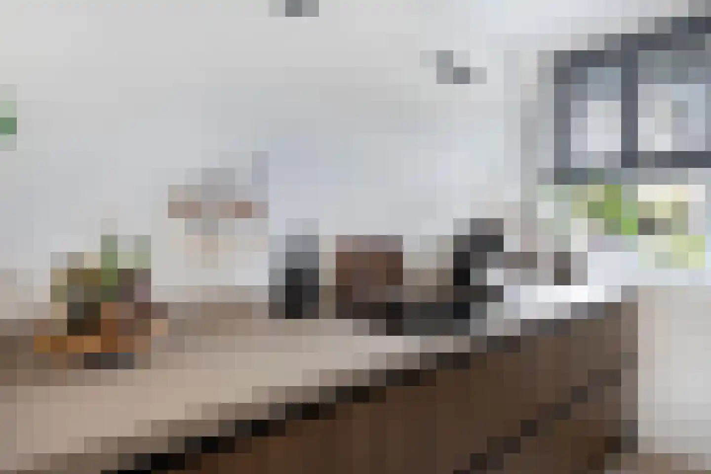 Vangstok 6 Sint Pancras thumbnail 13
