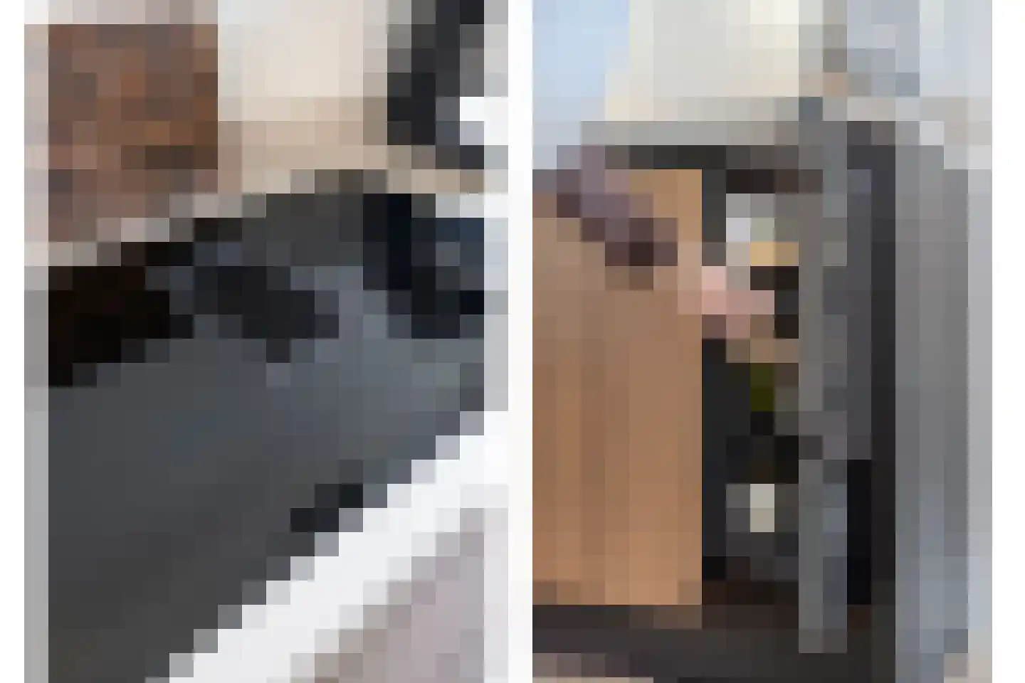 Vangstok 6 Sint Pancras thumbnail 17